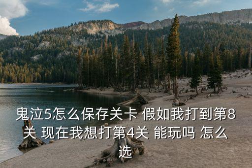 鬼泣5怎么保存关卡 假如我打到第8关 现在我想打第4关 能玩吗 怎么选