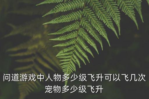 问道手游怎么查飞升等级，问道在5173中怎么看得出已经飞升完成了呢