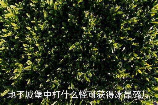 地下城堡手游寒冰怎么获得，地下城堡升级冰龙的冰晶碎片怎么得啊
