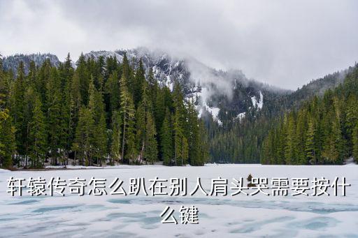 轩辕传奇手游怎么使用动作，轩辕传奇怎么趴在别人肩头哭需要按什么键