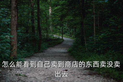 淘手游怎么看自己卖的货，怎么能看到自己卖到商店的东西卖没卖出去