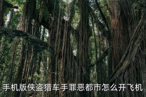 手机版侠盗猎车手罪恶都市怎么开飞机