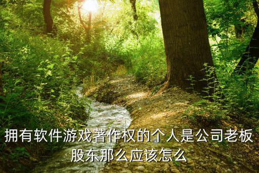 拥有软件游戏著作权的个人是公司老板股东那么应该怎么