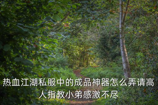 热血江湖私服中的成品神器怎么弄请高人指教小弟感激不尽