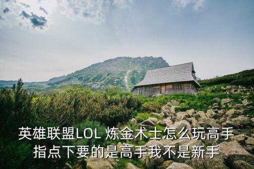 英雄联盟LOL 炼金术士怎么玩高手指点下要的是高手我不是新手