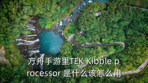 方舟手游里TEK Kibble processor 是什么该怎么用