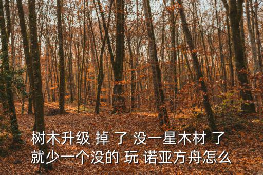 方舟手游生物植物体不见了怎么办，建造诺亚方舟的1星木没有了怎么办