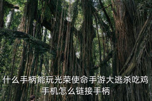 飞智手柄怎么连接使命召唤手游，使命召唤网游怎么用手柄玩啊