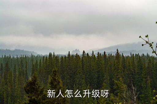 新人怎么升级呀