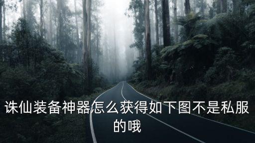 诛仙装备神器怎么获得如下图不是私服的哦