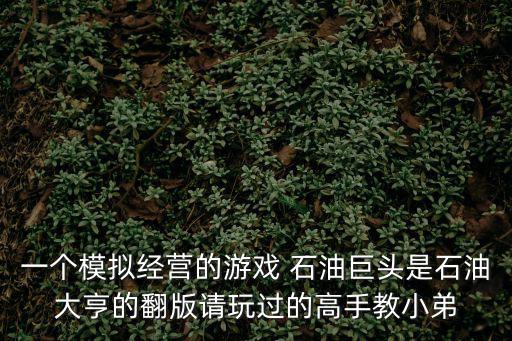 一个模拟经营的游戏 石油巨头是石油大亨的翻版请玩过的高手教小弟