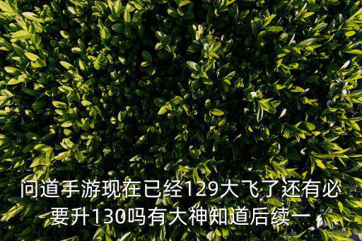 问道手游现在已经129大飞了还有必要升130吗有大神知道后续一
