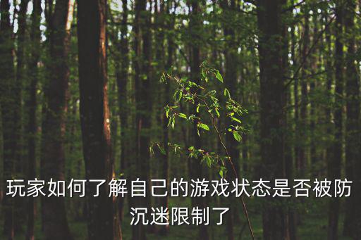玩家如何了解自己的游戏状态是否被防沉迷限制了