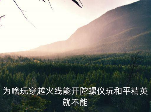 为啥玩穿越火线能开陀螺仪玩和平精英就不能