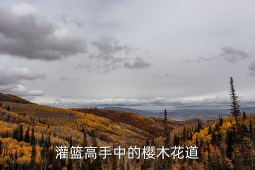 灌篮高手中的樱木花道