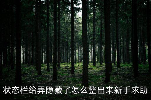 状态栏给弄隐藏了怎么整出来新手求助