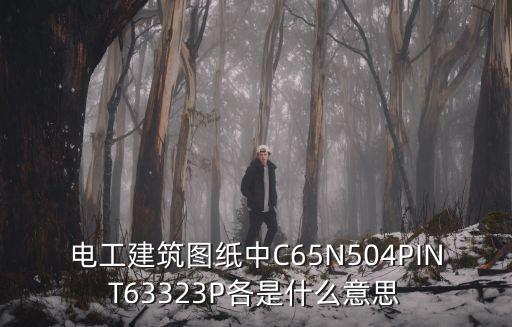 电工建筑图纸中C65N504PINT63323P各是什么意思