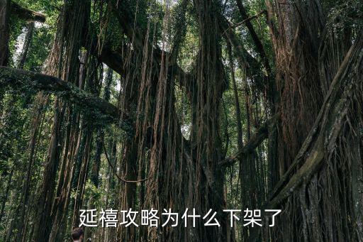 延禧攻略为什么下架了