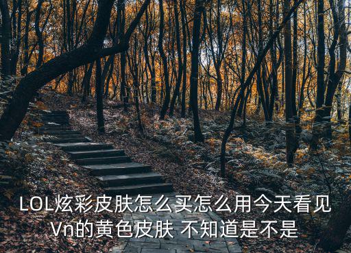 LOL炫彩皮肤怎么买怎么用今天看见Vn的黄色皮肤 不知道是不是
