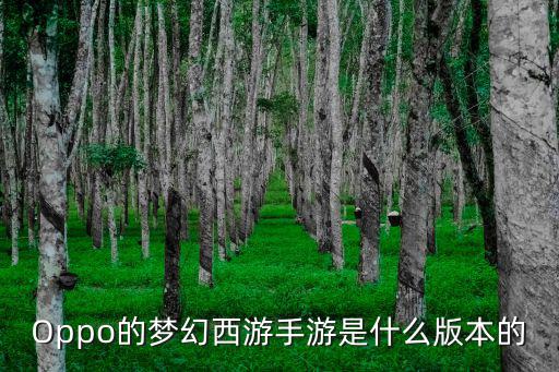 oppo梦幻手游版本怎么下载，OPPO想下载vivo梦幻西游手游
