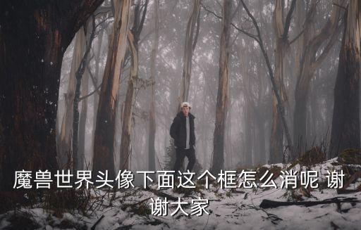 魔兽世界头像下面这个框怎么消呢 谢谢大家