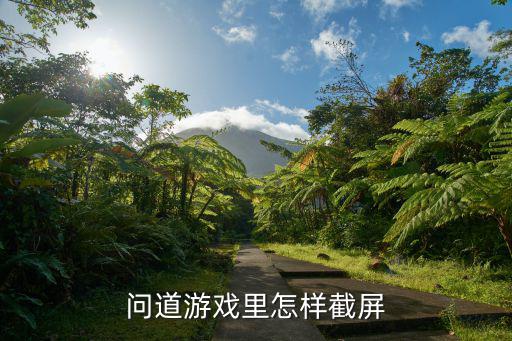 问道手游游戏内怎么截图，问道游戏里怎样截屏
