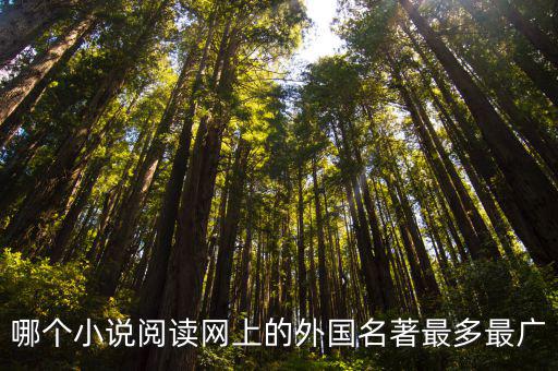 哪个小说阅读网上的外国名著最多最广