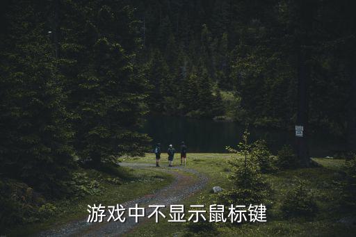 游戏中不显示鼠标键