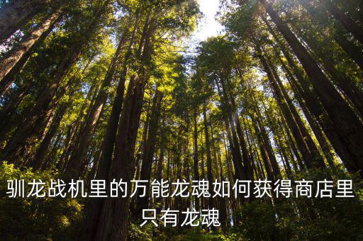 驯龙战机里的万能龙魂如何获得商店里只有龙魂