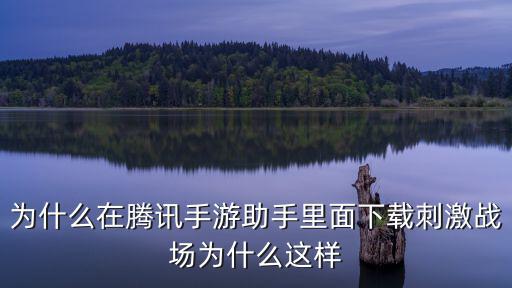 为什么在腾讯手游助手里面下载刺激战场为什么这样