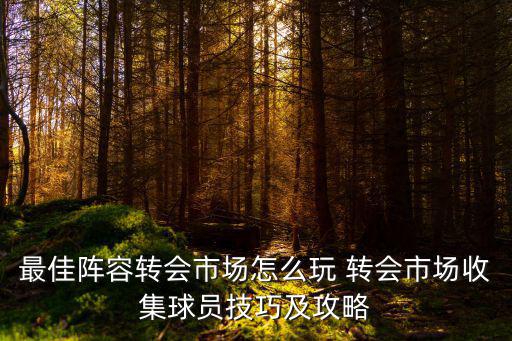 最佳阵容转会市场怎么玩 转会市场收集球员技巧及攻略