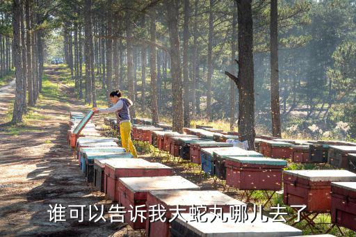 谁可以告诉我大蛇丸哪儿去了