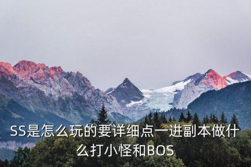 SS是怎么玩的要详细点一进副本做什么打小怪和BOS