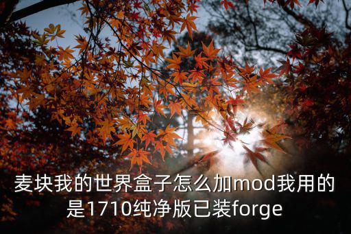 麦块我的世界盒子怎么加mod我用的是1710纯净版已装forge