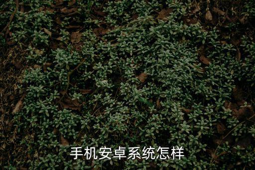 战国志手游系统怎么样，战国志手游好不好玩