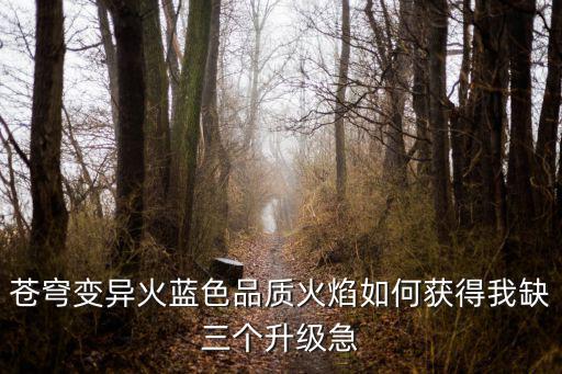 苍穹变异火蓝色品质火焰如何获得我缺三个升级急