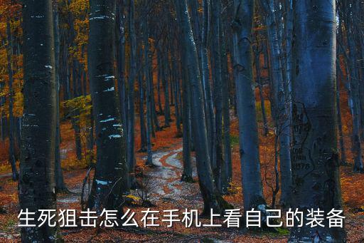 生死狙击怎么在手机上看自己的装备