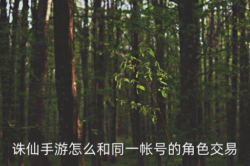 诛仙手游同城怎么弄，诛仙手游怎么和同一帐号的角色交易