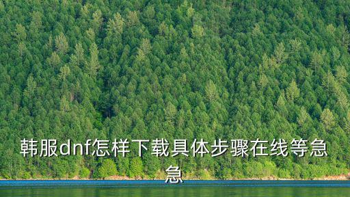 韩服dnf怎样下载具体步骤在线等急急