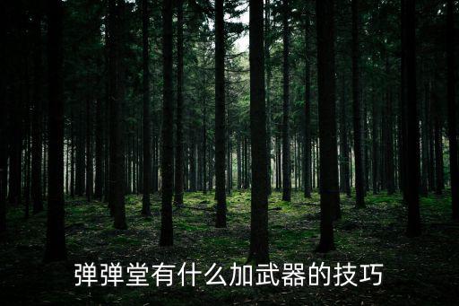 弹弹堂有什么加武器的技巧