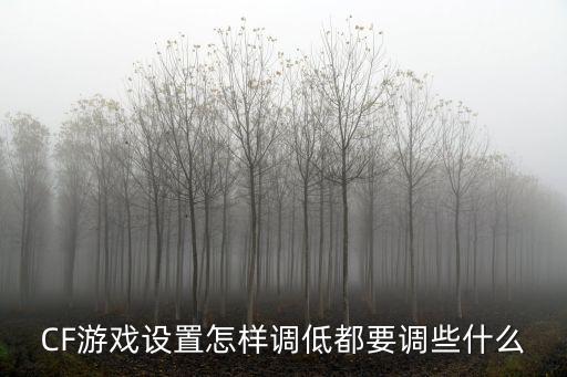 手游cf西行劫路难度怎么调，CF游戏设置