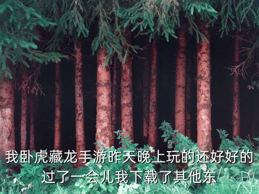 我卧虎藏龙手游昨天晚上玩的还好好的过了一会儿我下载了其他东