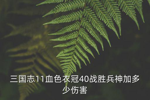 血色衣冠三国志手游怎么样，三国志11血色衣冠庙和遗迹一个人不行吗