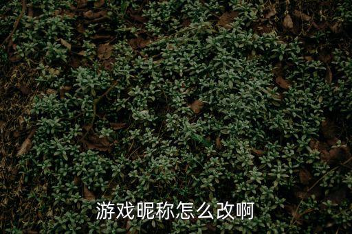 游戏昵称怎么改啊