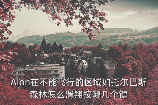 Aion在不能飞行的区域如托尔巴斯森林怎么滑翔按哪几个键