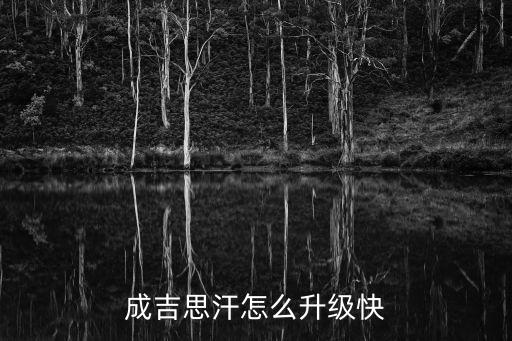 成吉思汗手游怎么运镖，成吉思汗游戏