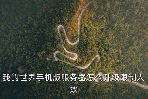 我的世界手机版服务器怎么升级限制人数