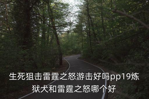 生死狙击雷霆之怒游击好吗pp19炼狱犬和雷霆之怒哪个好