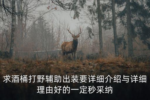 求酒桶打野辅助出装要详细介绍与详细理由好的一定秒采纳