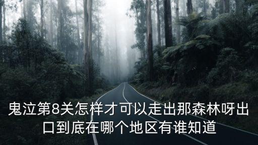 鬼泣第8关怎样才可以走出那森林呀出口到底在哪个地区有谁知道